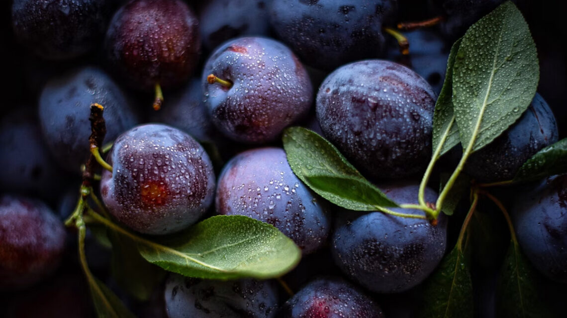 Es ist Pflaumen-Saison, Foto: Alexandra Kikot / Unsplash